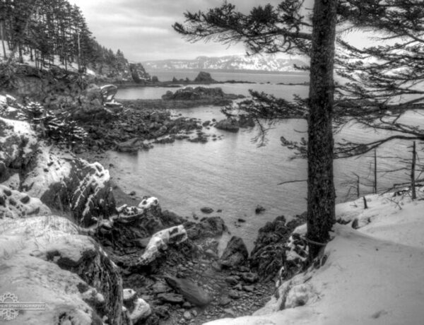 Kodiak, Alaska, photograph, snow, winter, scenic, forest, trees, ocean, waves, park, island