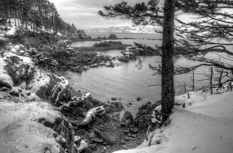 Kodiak, Alaska, photograph, snow, winter, scenic, forest, trees, ocean, waves, park, island