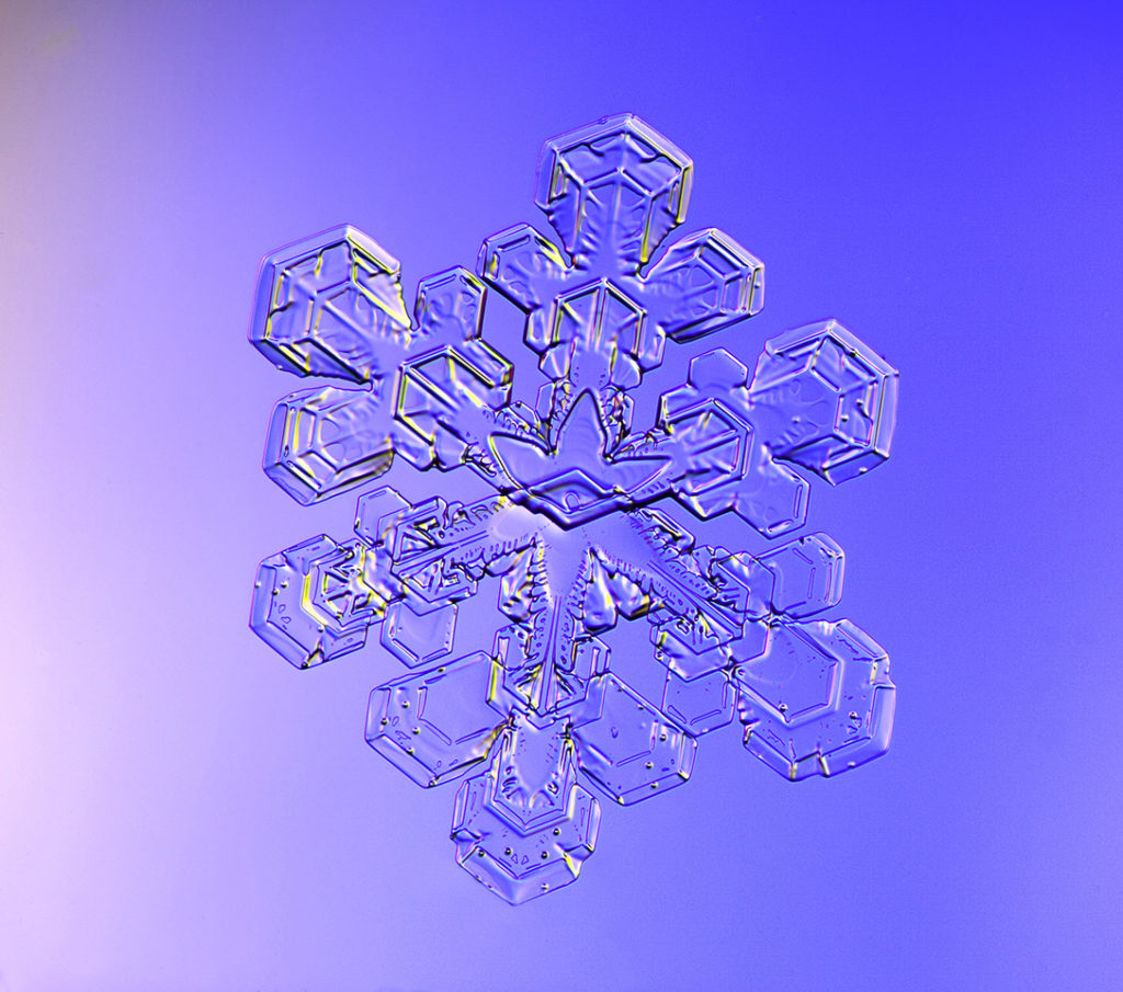 Snowflakes, snow crystals, photograph, ice