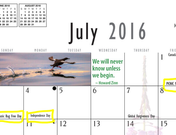 Wall calendar, Kodiak, Alaska, Marion, Owen