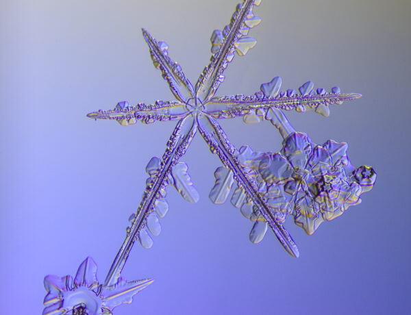 snowflake, snow crystal, real snowflake, photography, macro, winter, snow, Alaska, Marion Owen, Kodiak