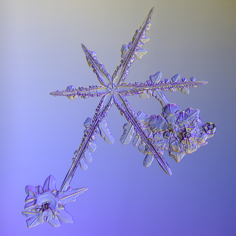 snowflake, snow crystal, real snowflake, photography, macro, winter, snow, Alaska, Marion Owen, Kodiak