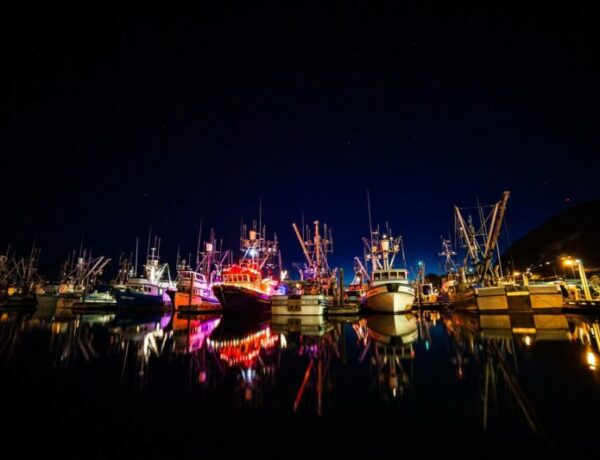 holiday, lights, boats, festival, winter, Christmas, stars, Alaska, Kodiak