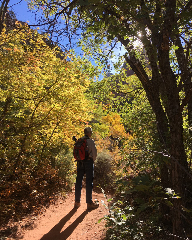 Zion, National, Park, Utah, sunshine, hiking