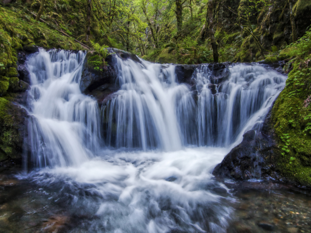 waterfall, Oregon