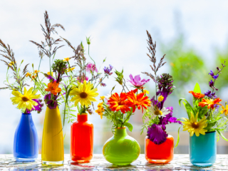 flowers, vases, garden, herbs, photography, photographs