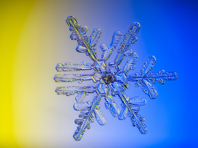Snow, snowflake, snow crystal, real snowflake, snowflake photography