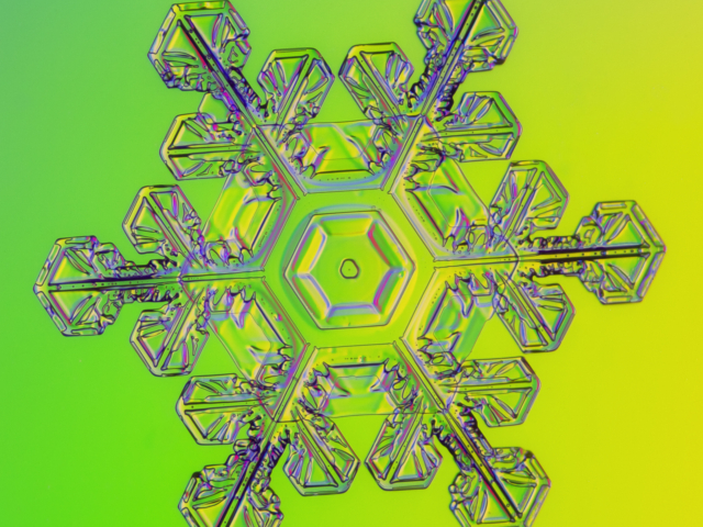 Snow, snowflake, snow crystal, real snowflake, snowflake photography