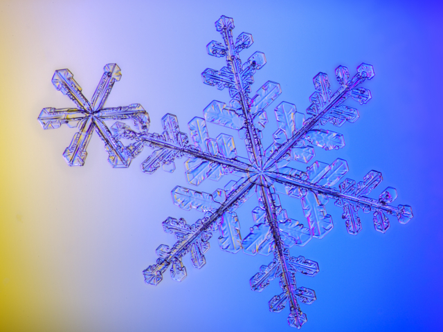 Snowflake, snow crystal, Alaska