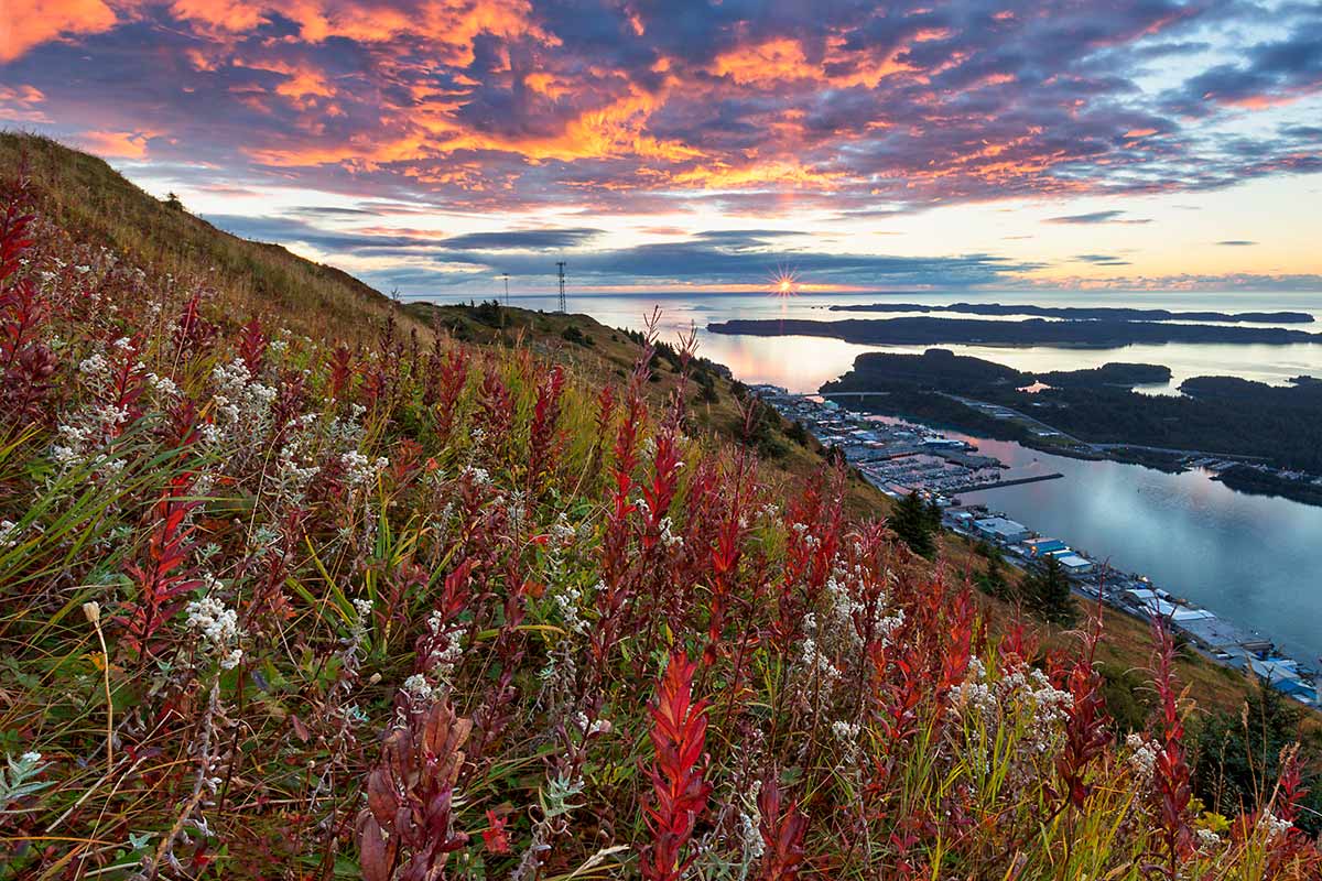 Kodiak Alaska, Kodiak Island