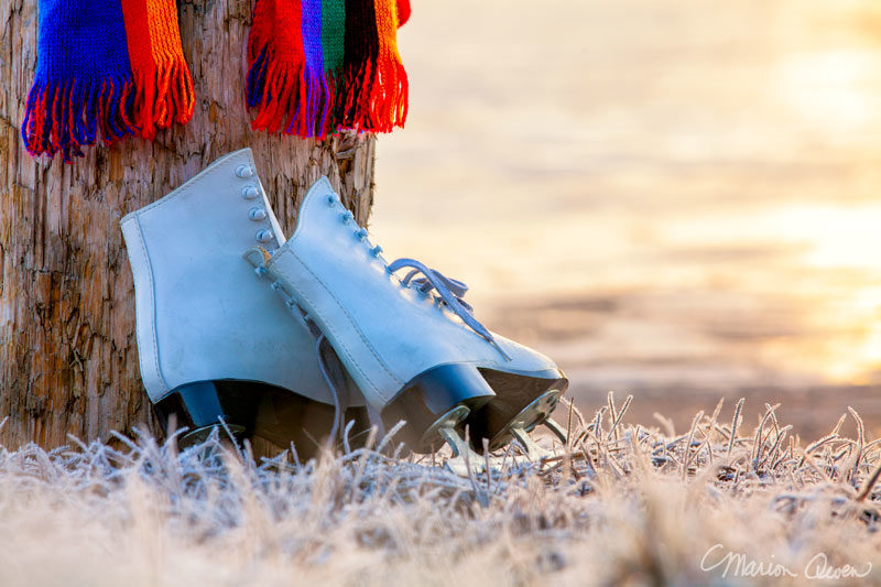 ice skates, frost, lake