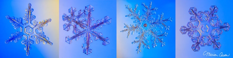 snowflakes, snow crystals, real, winter, snow