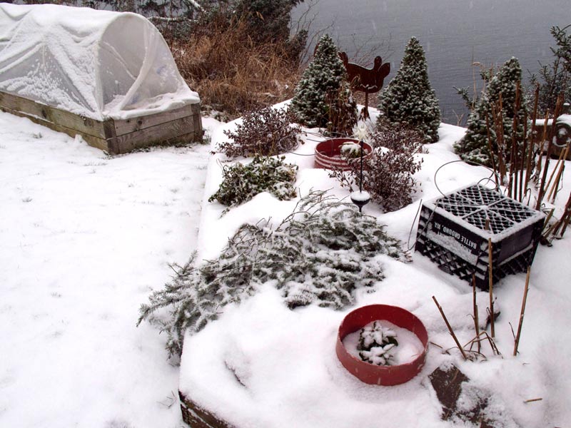 plant covers for winter, cool climate gardening, organic gardening tips