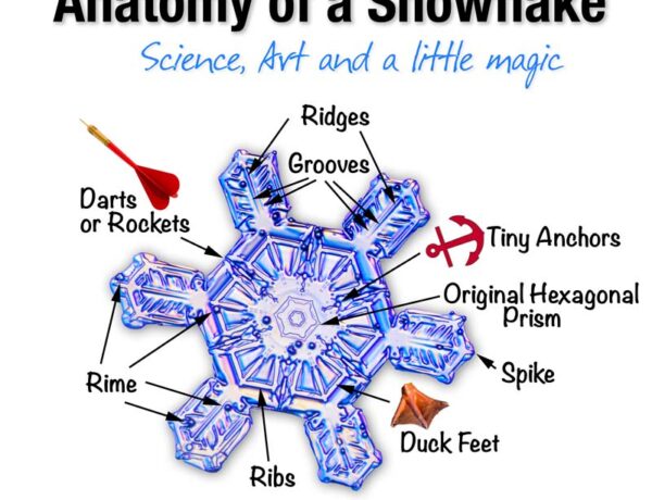 snowflake facts, Alaska nature photography
