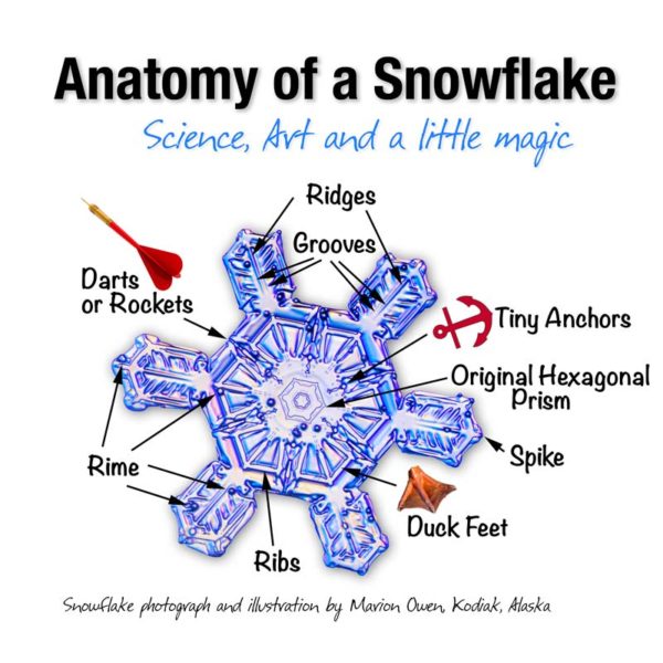 snowflake-facts-nature-photography-real-snowflakes-lagniappe