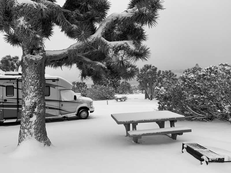 Black Rock Campground, Joshua Tree National Park, snow, cactus, bucket list ideas, nature photography