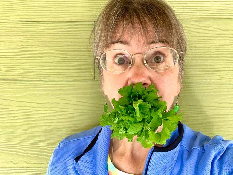 Garden cress is queen of the greens, vegan recipes