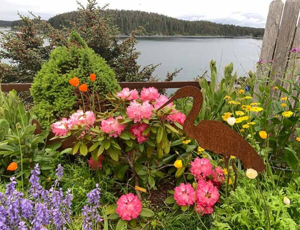 summer garden in Kodiak, Alaska